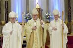 vitrines-ordination-2016b