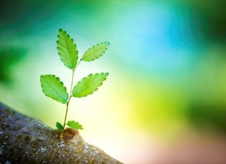 Depuis 2018, 64 paroisses au lieu de 130 au sein du Diocèse de Québec