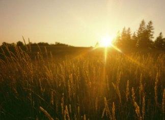 Protection des personnes mineures contre les abus sexuels: guérison, réconciliation et transformation