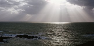 Solidarité, humilité et pénitence: rencontre à Rome sur la protection des mineurs