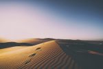 cathopic_desert