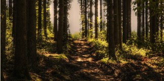 Les Peuples autochtones et l’Église catholique sur le sentier de la guérison