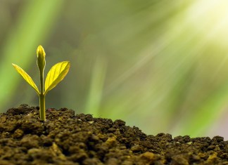 Carême 2022 : un temps pour renaître autrement