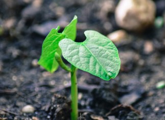 Protection des personnes mineures ou vulnérables : voyez notre page de ressources