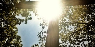 Horaire des célébrations de Pâques 2025