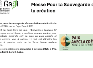 Les Journées de l’Écologie Intégrale 2025 : foi et planète en dialogue
