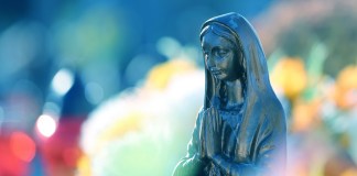 Fête patronale de l’Immaculée Conception, le 8 décembre 2025