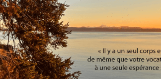 Préparez-vous, elle arrive… la Semaine de prière pour l’unité des chrétiens 2026 !