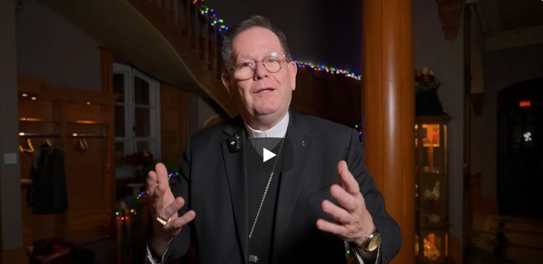 Voeux de Noël vitrine