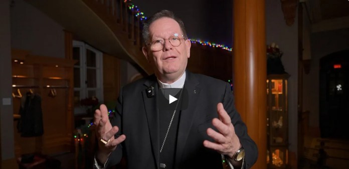 Voeux de Noël vitrine